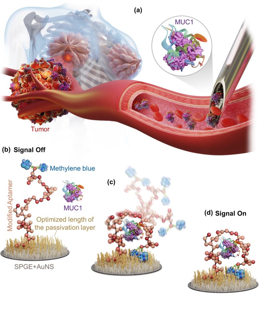 Breast cancer tumor markers biosensor!